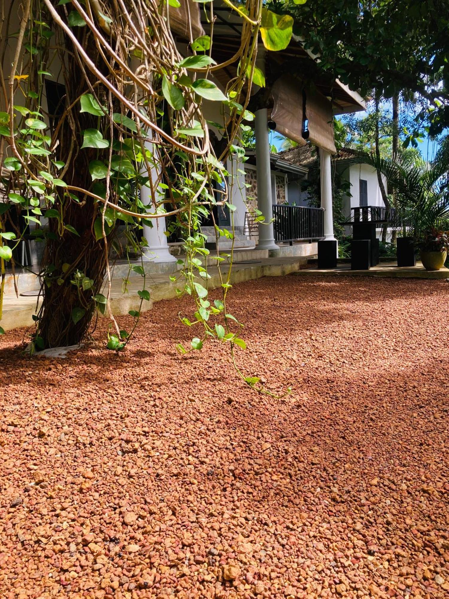 Wija House - أونا واتونا المظهر الخارجي الصورة